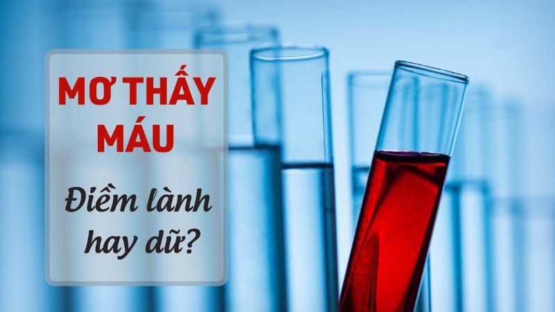 Luận giải giấc mơ thấy máu